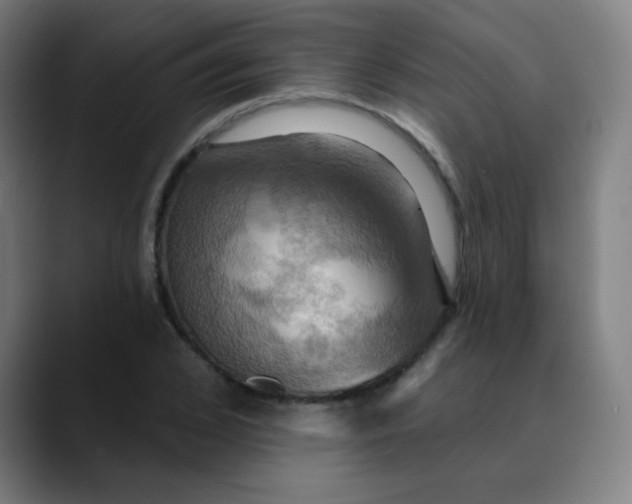 X0000089720976200707121428