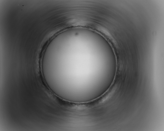 X0000089720978200707121428