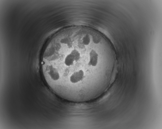 X0000089720979200707121428