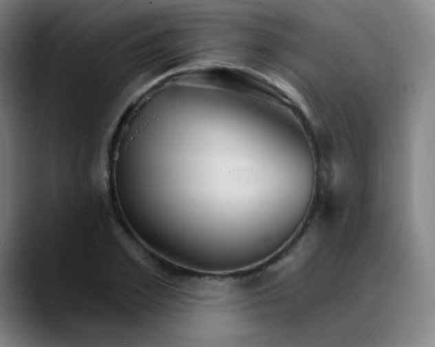 X0000089720981200707121427