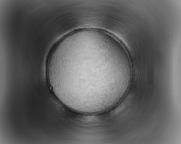 X0000089720982200707121427