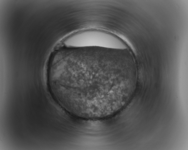 X0000089720983200707121427