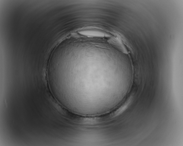 X0000089720985200707121427