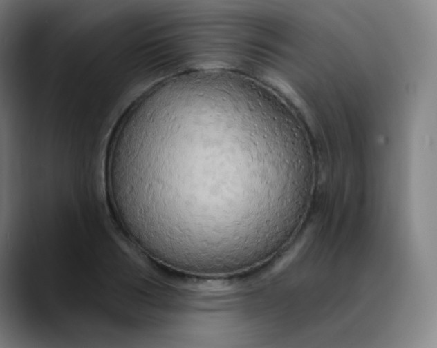 X0000089720986200707121427