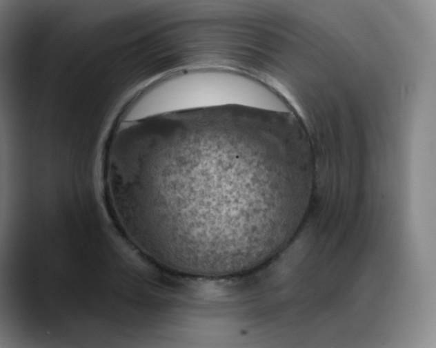 X0000089720987200707121427