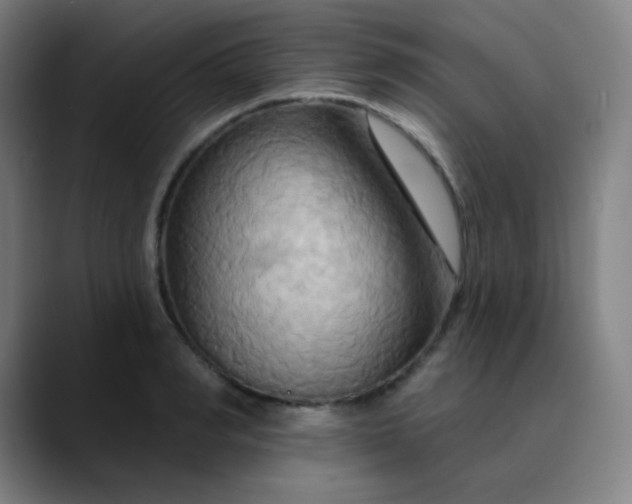 X0000089720990200707121427