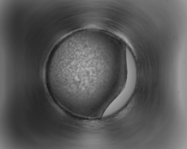 X0000089720991200707121427