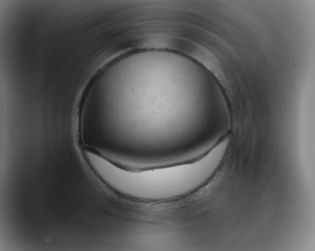 X0000089720992200707121427