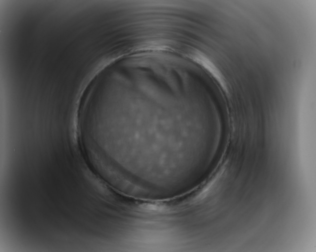 X0000089720994200707121427