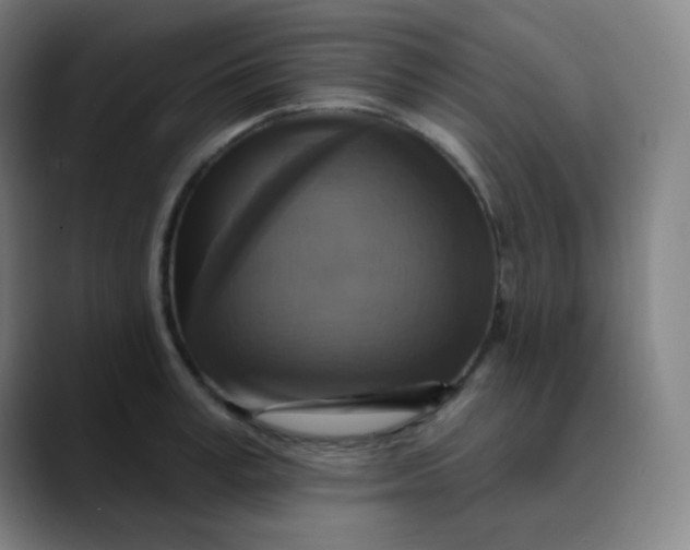 X0000089720995200707121427