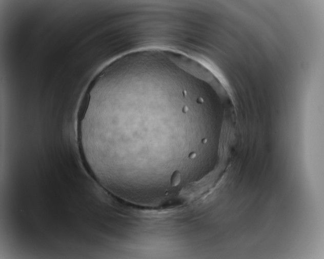 X0000089720996200707121427