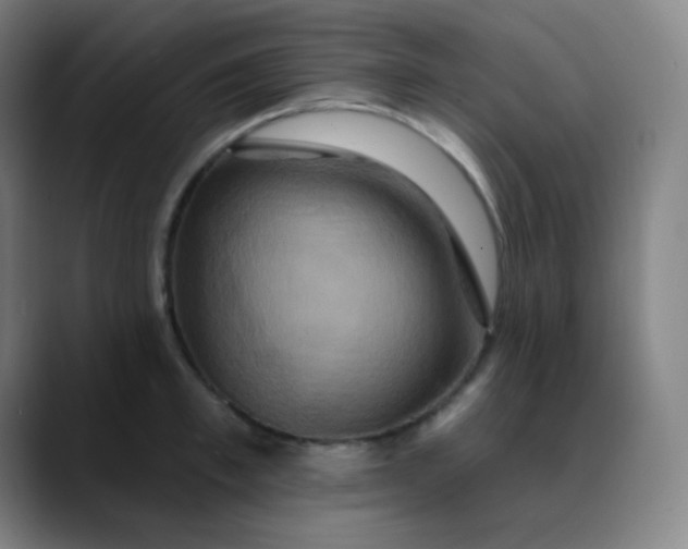 X0000089720997200707121427