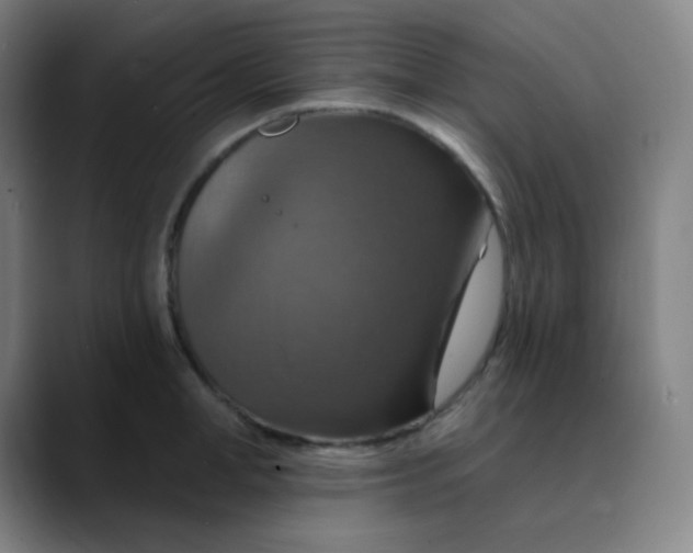 X0000089720998200707121427