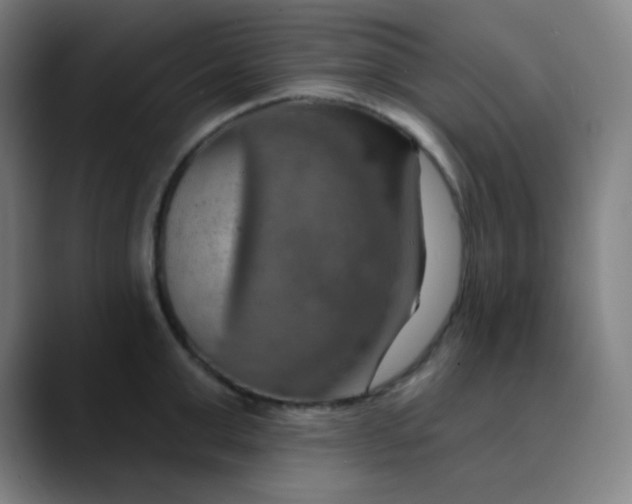 X0000089720999200707121427