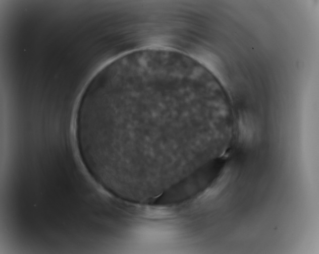 X0000089721007200707121427