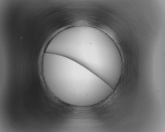 X0000089721008200707121427