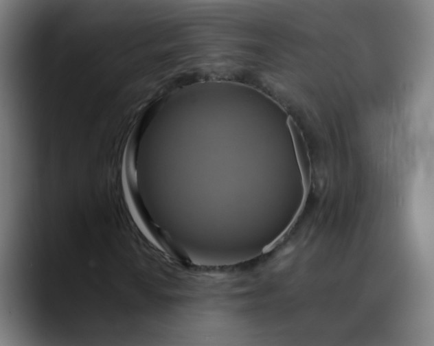 X0000089721010200707121427