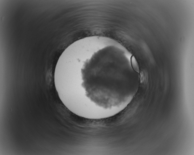 X0000089721011200707121427