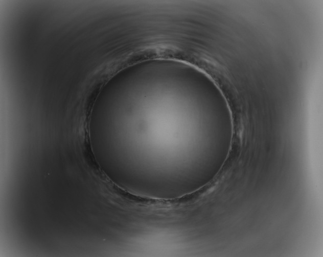 X0000089721014200707121427