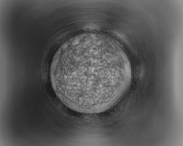 X0000089721015200707121427