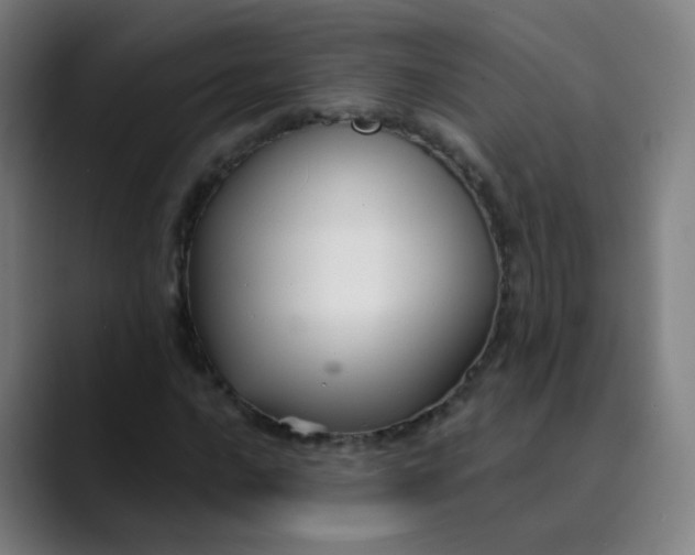 X0000089721016200707121427