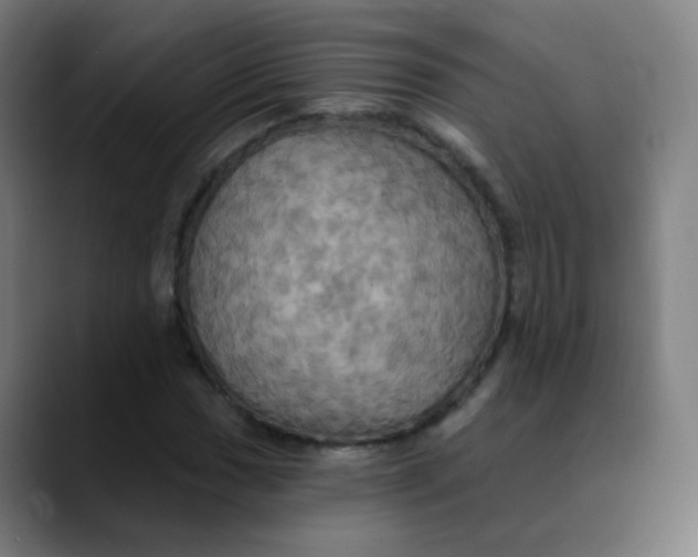 X0000089721017200707121427