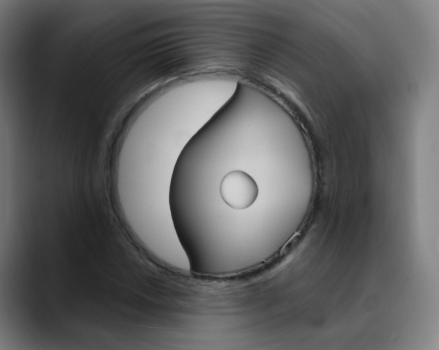 X0000089721018200707121427