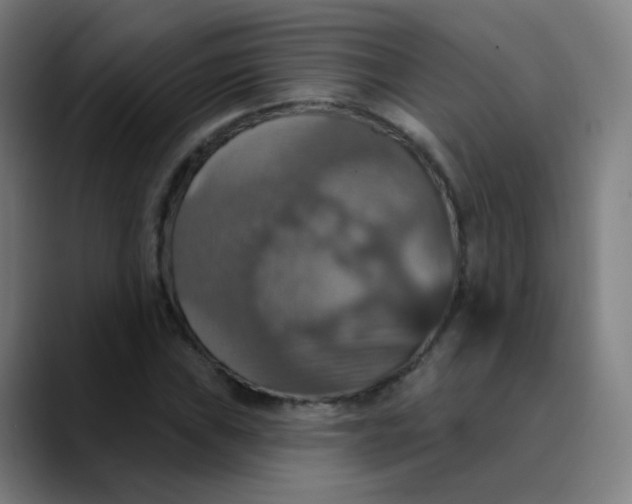 X0000089721019200707121427