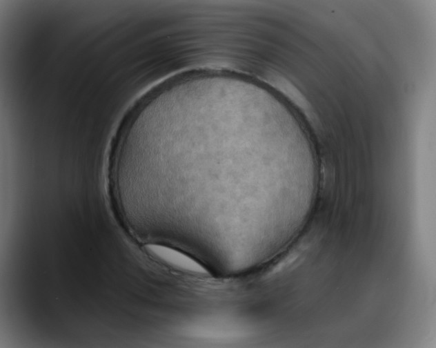 X0000089721020200707121427