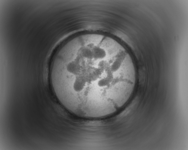 X0000089721021200707121427