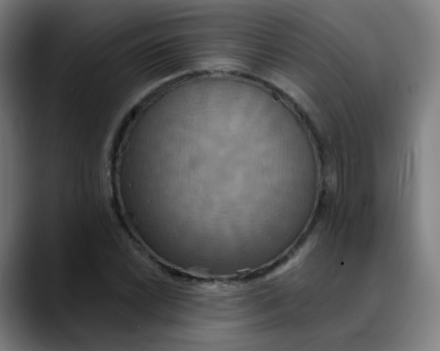 X0000089721022200707121427