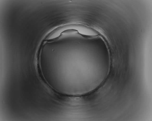 X0000089721024200707121427