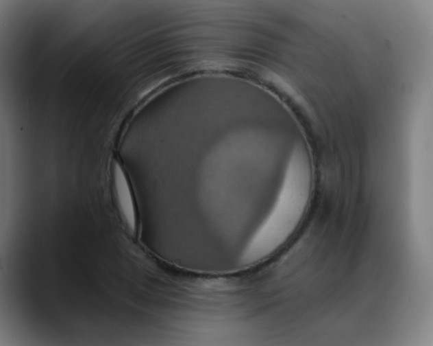 X0000089721025200707121427