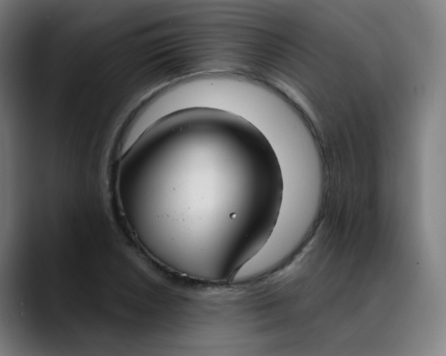 X0000089721026200707121427