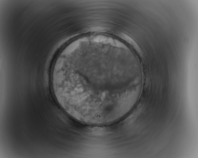 X0000089721027200707121427