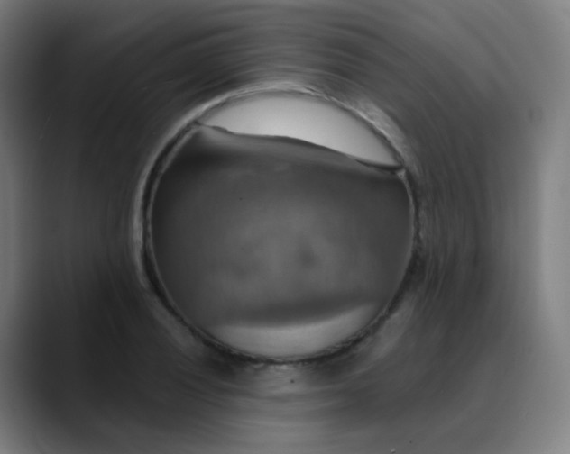 X0000089721028200707121427