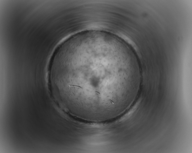 X0000089721029200707121427