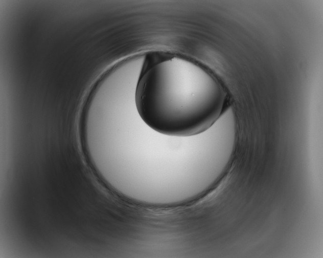 X0000089721030200707121427