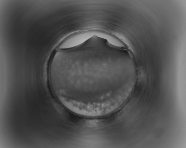 X0000089721031200707121427