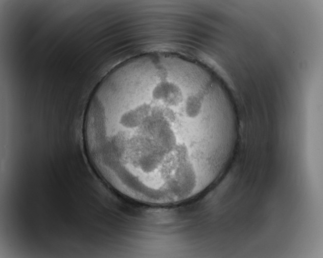 X0000089721033200707121427