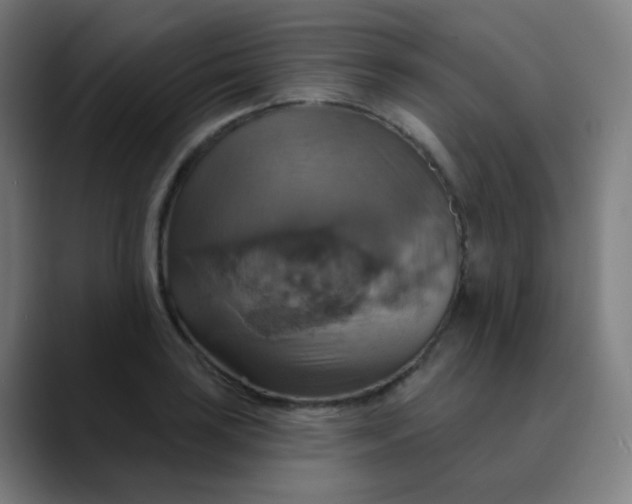 X0000089721035200707121427