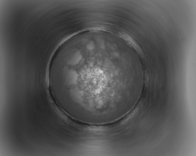 X0000089721036200707121427