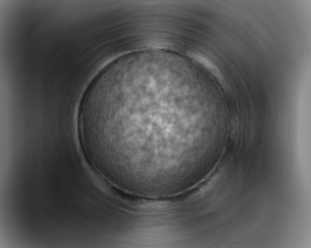 X0000089721039200707121427