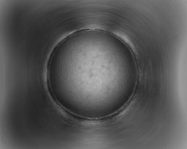 X0000089721040200707121427