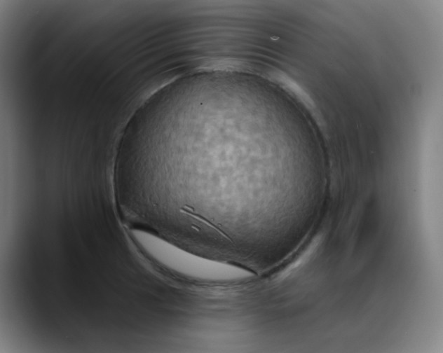 X0000089721041200707121427