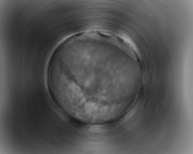 X0000089721043200707121427