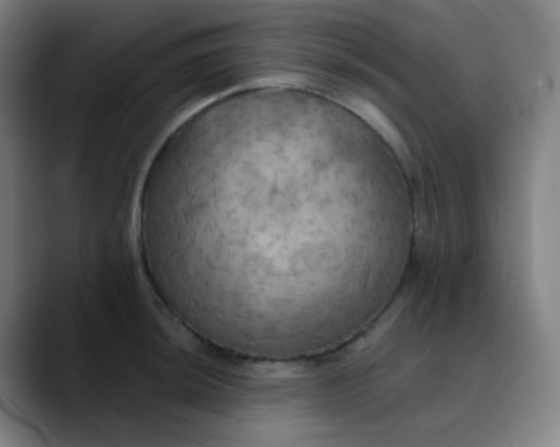 X0000089721044200707121427