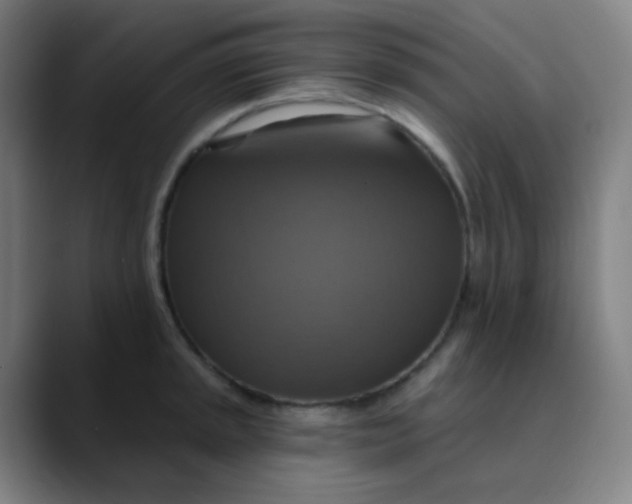 X0000089721045200707121427