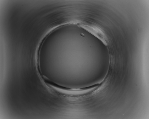 X0000089721046200707121427