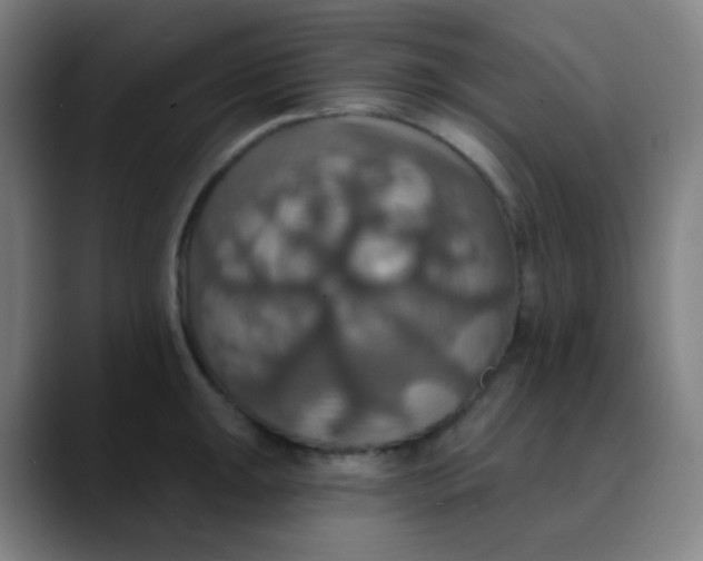 X0000089721047200707121427